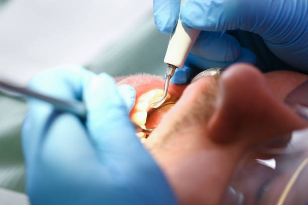 Best Urgent Dental Care for Toothache in Braddock Hills, PA